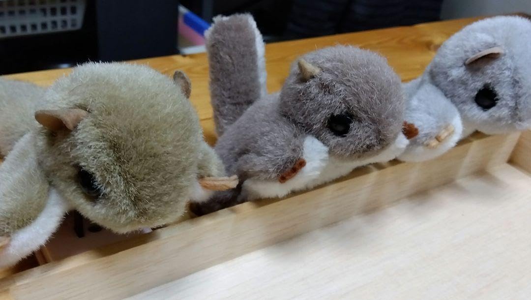 Amazon.co.jp: エクシーレ ももんが 縫いぐるみ : おもちゃ